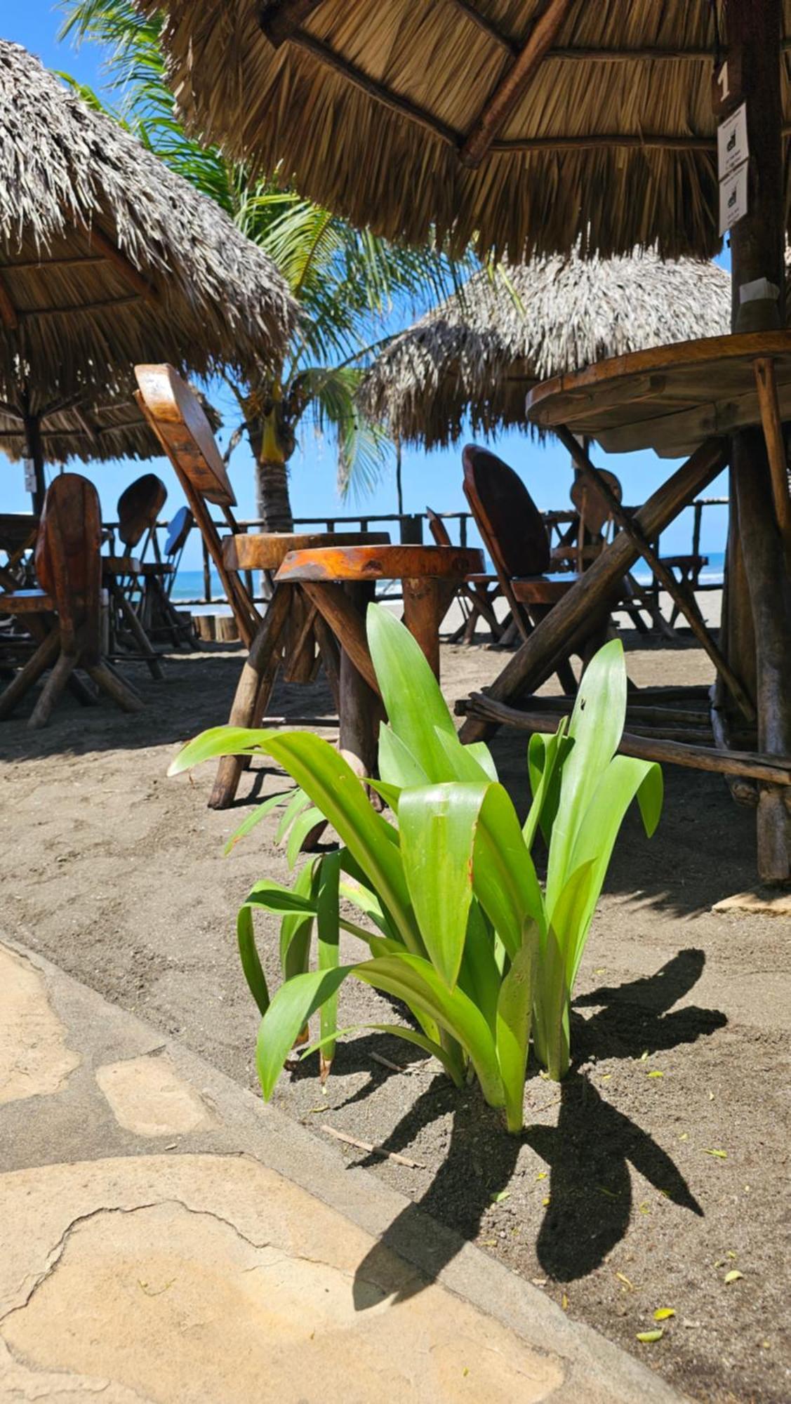 Mano A Mano Eco Hostal Las Peñitas Eksteriør billede